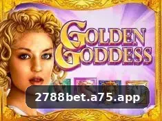 2788bet visual 2